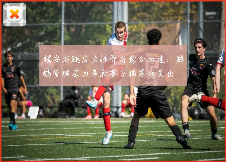 锡安右腿应力性骨折愈合加速,鹈鹕管理层力争新赛季揭幕战复出